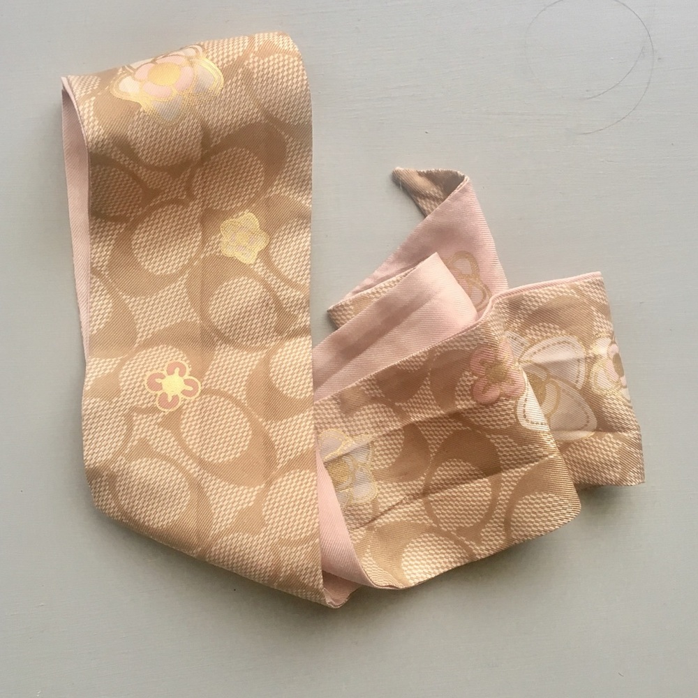 Coach pony scarf